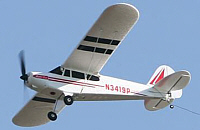 pipercubmodell200