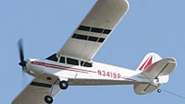 pipercubmodell200